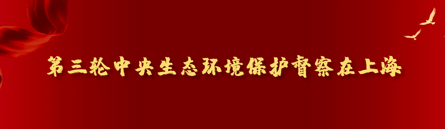 第三輪中央生態(tài)環(huán)境保護(hù)督察在上海